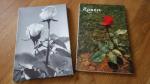 Walter, Hans und Jud, Karl: Rosen Walter, Hans und Jud, Karl: Rosen