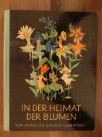 In der Heimat der Blumen