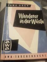 Wanderer In der Wüste