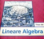 Theo de Jong: Lineare Algebra Theo de Jong: Lineare Algebra