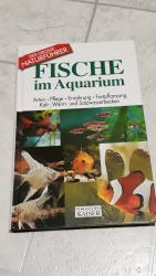 Fische im Aquarium