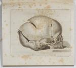 Hirt, Heinrich Adolph: De cranii neonato