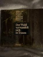 Der Wald verwandelt sich in Traum