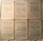 Konvolut 6 Expl.: Centralblatt der Physiologie Band VII Literatur 1893