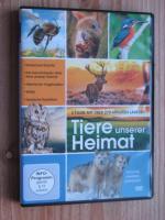 Tiere unserer Heimat : 1. Deutsches Rotwild - 2. Die bekanntesten Wildtiere ... 3. Heimische Vogelwelten - 4. Wölfe - 5. Deutsche Raubtiere