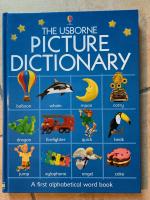 THE USBORNE PICTIONARY