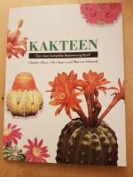 Kakteen