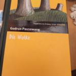 Die Wolke.