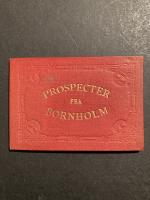 Prospecter fra Bornholm.