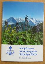 Heilpflanzen im Alpengarten Schynige Platte