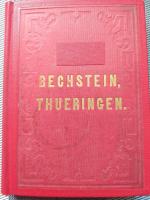 Wanderung durch Thüringen. Mit 30 Stahlstichen