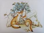 _ yap le fennec