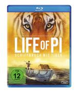 Ang Lee: Life of Pi, Schiffbruch mit Tig