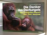 Schuster, Gerd; Smits, Willie: Die Denke Schuster, Gerd; Smits, Willie: Die Denke