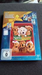 Santa Buddies auf der Suche nach Santa P