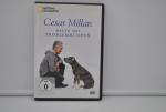 Cesar Millan, Hilfe bei Problemhunden