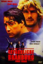 Kathryn Bigelow: Gefährliche Brandung  ~