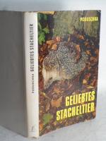 Geliebtes Stacheltier.  >> Verhalten und Aufzucht von Igeln<<