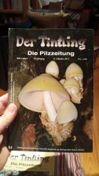 Der Tintling 84