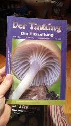 Der Tintling 85