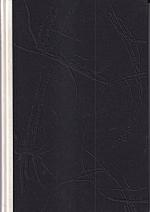 Herman Melville: Moby Dick: Das Gasthaus