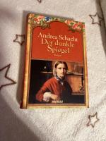 Andrea schacht: Der dunkle Spiegel