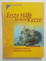 Erste Hilfe für Katzen