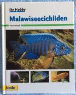 Peter Bredell: Ihr Hobby: Malawiseecichl Peter Bredell: Ihr Hobby: Malawiseecichl