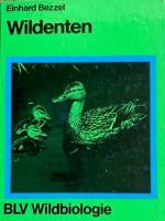 Wildenten.