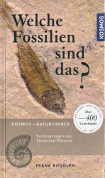 Welche Fossilien sind das?