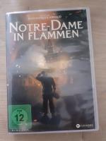 Notre-Dame in Flammen