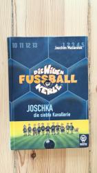 Die wilden Fussballkerle - Buchausgabe / Joschka, die siebte Kavallerie