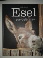 Esel * Treue Gefährten