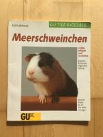 Meerschweinchen richtig pflegen und verstehen