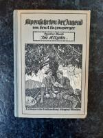 Alpenfahrten der Jugend. Zweites Buch. Im Allgäu.