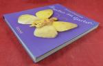 Anne Geddes: Drunten im Garten von Anne Anne Geddes: Drunten im Garten von Anne