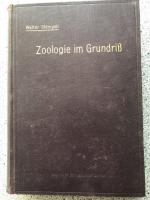 Zoologie im Grundriß