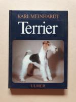 Terrier