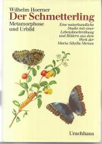 Wilhelm Hoerner: Der Schmetterling - Met