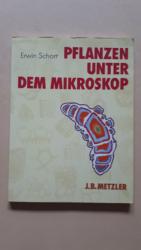 Pflanzen unter dem Mikroskop