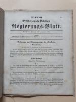 Großherzogliches Badisches Regierungs-Blatt Nr. LXVII; Karlsruhe, Mittwoch den 3 Dezember 1851