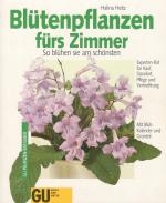 Blütenpflanzen fürs Zimmer