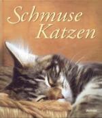 Schmusekatzen