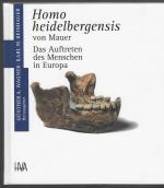 Homo heidelbergensis von Mauer: Das Auftreten des Menschen in Europa