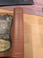 Wen Kang: Die schwarze Reiterin. Roman a