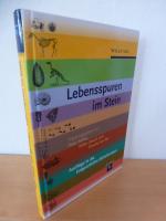 Rothe, Peter; Storch, Volker; von See, C Rothe, Peter; Storch, Volker; von See, C