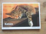 Katzen - 30 Postkarten