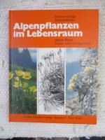 Alpenpflanzen im Lebensraum. Alpine Rasen Schutt- und Felsvegetation. .