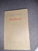 Heinrich Bohn: Waldbrand. Die Novelle ei