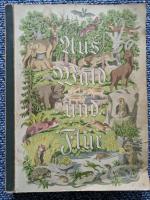 Aus Wald und Flur Tiere unserer Heimat